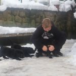 Psí inzerce, inzerce psů - Labradorský retrívr - Labradorský retrívr- černá štěňátka s PP
