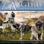 Psí inzerce, inzerce psů - Kavkazský pastevecký pes - Kavkazský pastevecký pes s PP FCI