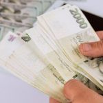 Psí inzerce, inzerce psů - Alapažský čistokrevný buldok - Získejte schválení půjčky do 24 hodin