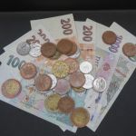 Psí inzerce, inzerce psů - Rychlý proces půjčky s okamžitými výsledky